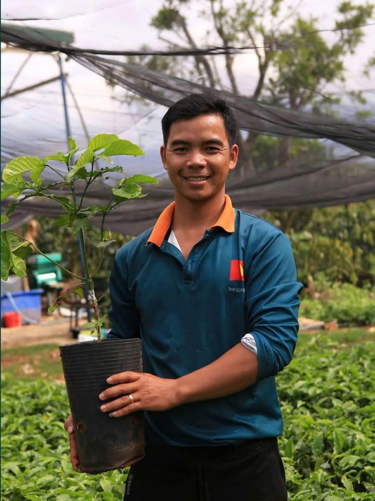 Anh Vũ Minh Th&aacute;i b&ecirc;n giống Robusta Thi&ecirc;n Ph&uacute;c đ&atilde; ho&agrave;n thiện quy tr&igrave;nh nh&acirc;n giống, được cấp chứng nhận c&acirc;y đầu d&ograve;ng v&agrave; ch&iacute;nh thức được c&ocirc;ng nhận lưu h&agrave;nh giống v&agrave;o th&aacute;ng 4 năm 2026. (Ảnh: V&acirc;n Thọ)