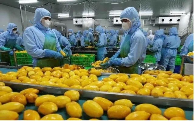 Mỹ đẩy mạnh thúc đẩy xuất khẩu nông sản sang Việt Nam