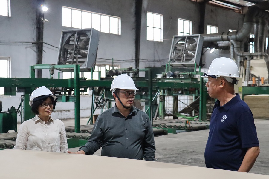 Hệ thống m&aacute;y m&oacute;c, d&acirc;y chuyền M888com link hiện đang mở của C&ocirc;ng ty Cổ phần Kỹ nghệ gỗ MDF Bison được đầu tư theo hướng hiện đại, đ&aacute;p ứng y&ecirc;u cầu đổi mới c&ocirc;ng nghệ.