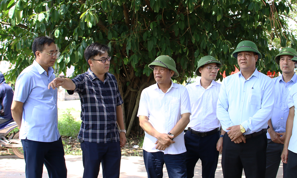 Phó Chủ tịch UBND tỉnh Ngô Tân Phượng kiểm tra tiến độ dự án đường Vành đai 4 - Vùng Thủ đô Hà Nội (đoạn qua địa phận tỉnh Bắc Ninh). Phó Chủ tịch UBND tỉnh Ngô Tân Phượng kiểm tra tiến độ dự án đường Vành đai 4 - Vùng Thủ đô Hà Nội (đoạn qua địa phận tỉnh Bắc Ninh).
