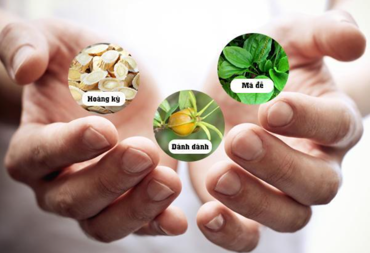 C&aacute;c thảo dược được chứng minh tốt cho thận