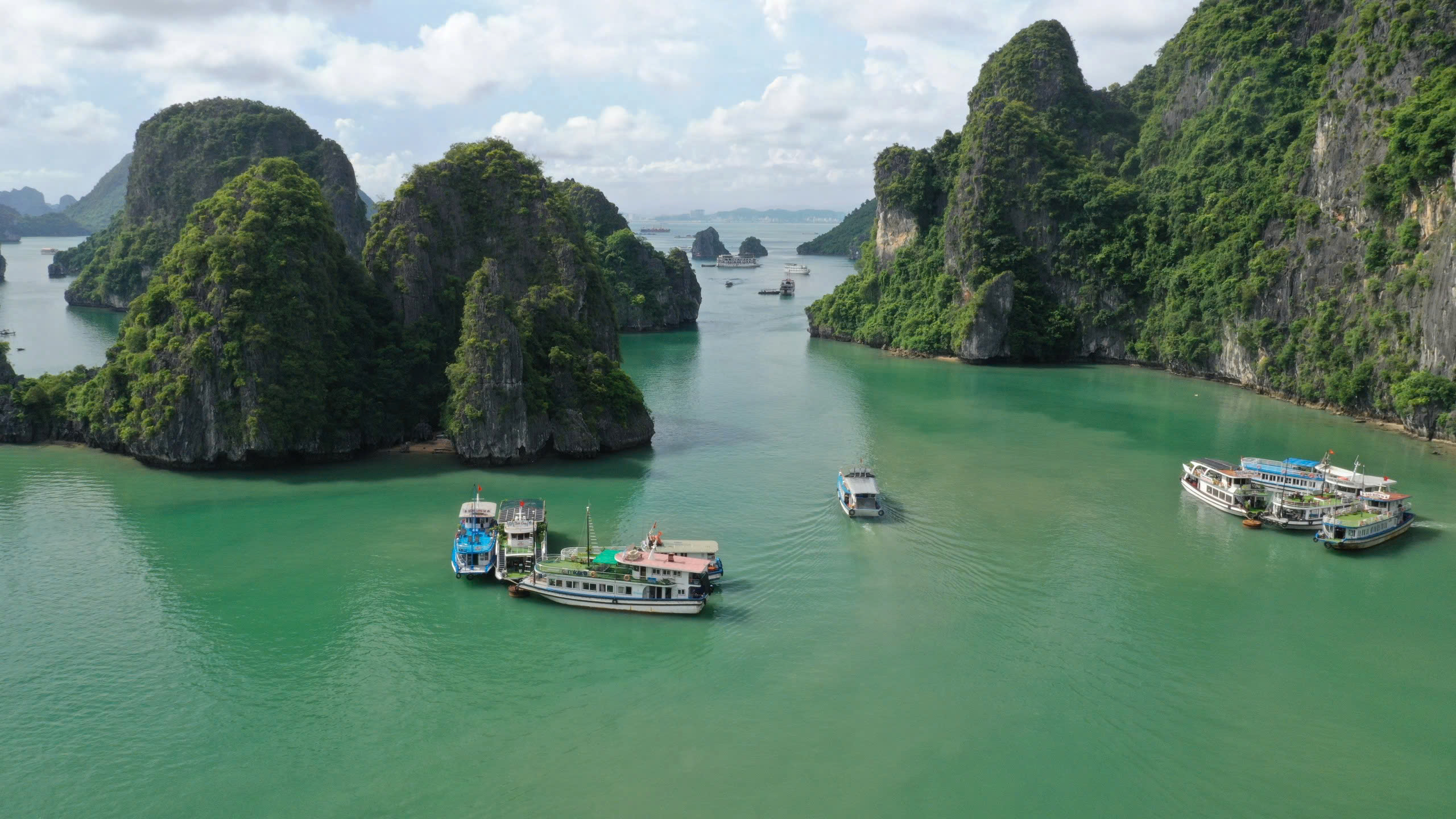 Quảng Ninh: Quy hoạch gần 39.000 ha biển thành khu bảo tồn