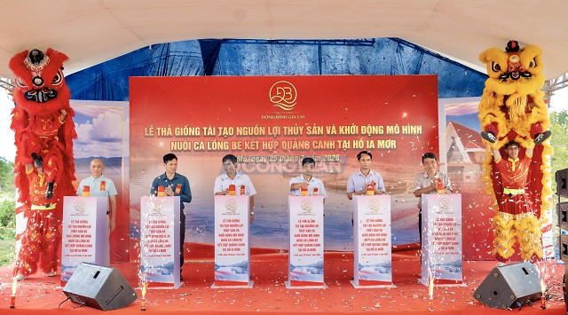 Gia Lai khởi động mô hình nuôi cá tại hồ Ia Mơr