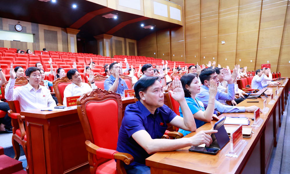 Đại biểu HĐND tỉnh biểu quyết th&ocirc;ng qua c&aacute;c nghị quyết.