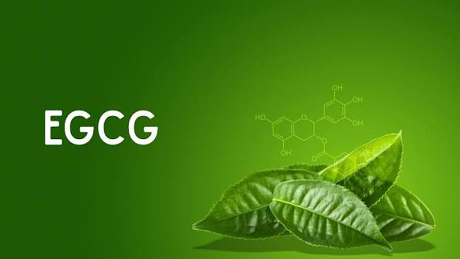 Tác dụng của trà xanh đối với sức khỏe gan