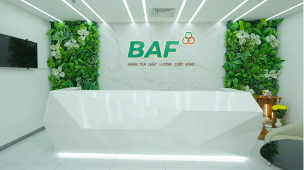 BAF Việt Nam sắp chào bán hơn 40 triệu Mansionbet.com Hoàn Trả Vô Tận