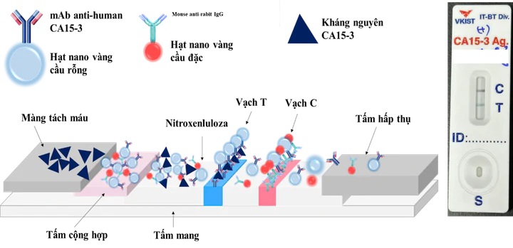 VKIST phát triển nền tảng que thử nhanh thế hệ mới