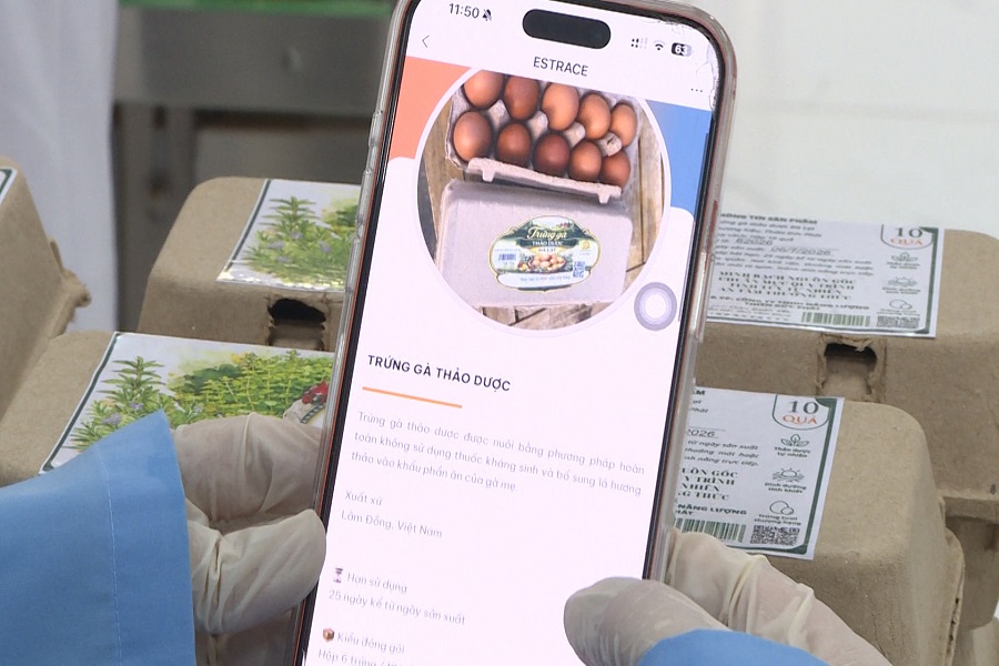 Người ti&ecirc;u d&ugrave;ng c&oacute; thể qu&eacute;t m&atilde; QR để truy xuất to&agrave;n bộ th&ocirc;ng tin về quy tr&igrave;nh M888com link hiện đang mở v&agrave; nguồn gốc sản phẩm 