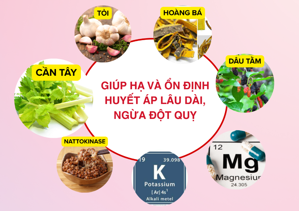 Người mới mắc và người tăng huyết áp lâu năm có thể kết hợp thảo dược để hỗ trợ ổn định huyết áp tốt hơn Người mới mắc và người tăng huyết áp lâu năm có thể kết hợp thảo dược để hỗ trợ ổn định huyết áp tốt hơn