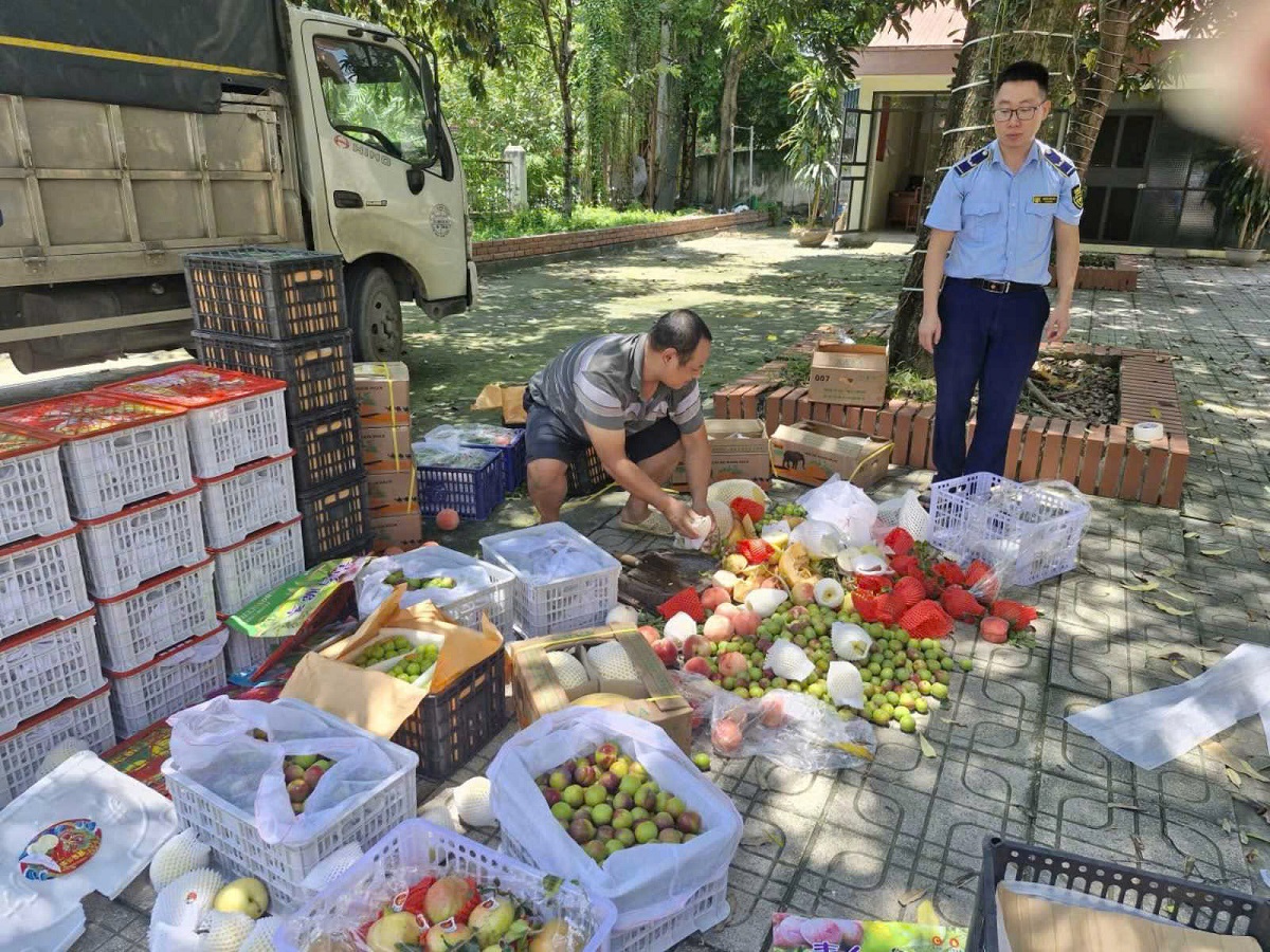 Thái Nguyên: Chặn đứng 3 xe tải chở hoa quả, thực phẩm nhập lậu