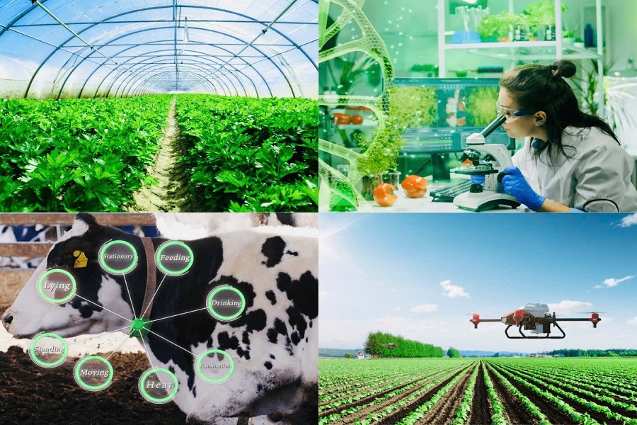 Đ&agrave;o tạo nghề gắn với chuyển đổi số, n&ocirc;ng nghiệp hữu cơ v&agrave; li&ecirc;n kết chuỗi gi&aacute; trị.