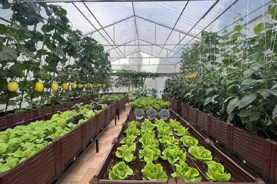 L&acirc;m Đồng l&agrave; địa phương c&oacute; tr&igrave;nh độ sản xuất n&ocirc;ng nghiệp hữu cơ thuộc nh&oacute;m dẫn đầu cả nước.