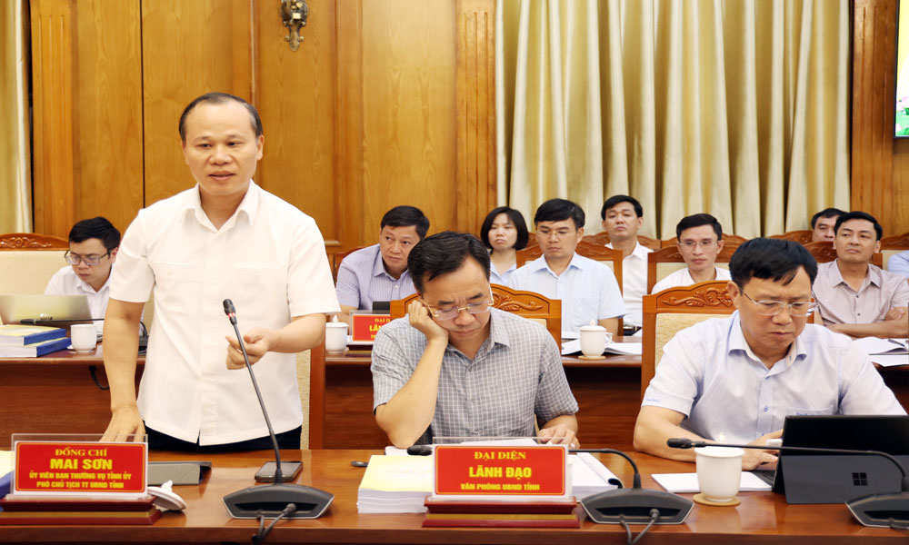 Ph&oacute; Chủ tịch Thường trực UBND tỉnh Mai Sơn ph&aacute;t biểu tiếp thu c&aacute;c &yacute; kiến tại hội nghị.