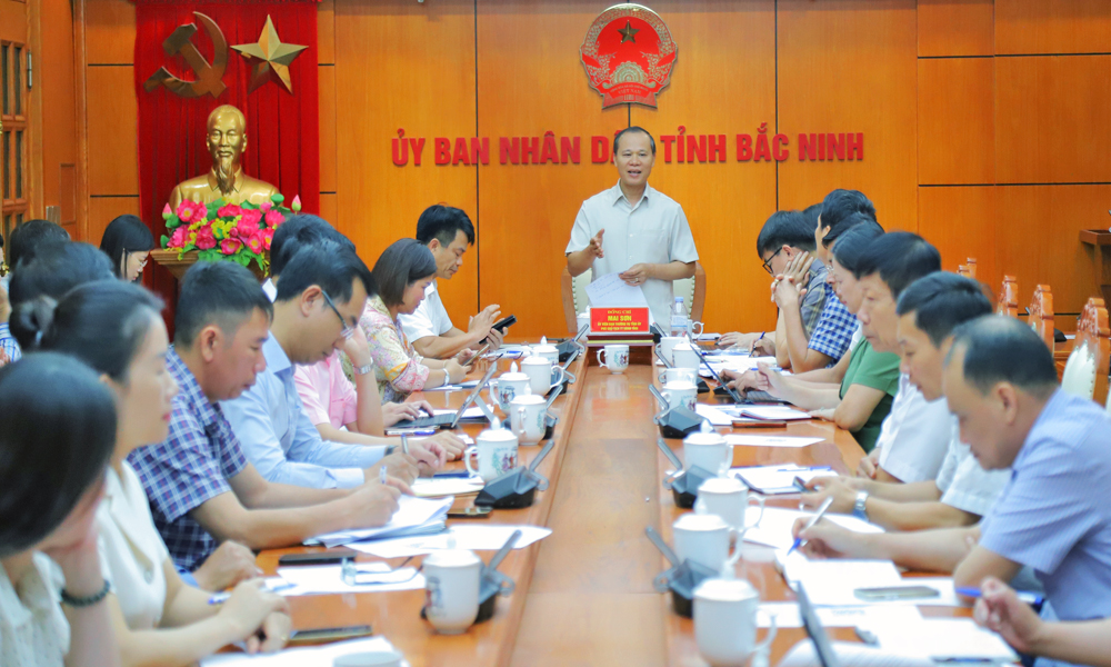 Ph&oacute; Chủ tịch Thường trực UBND tỉnh Mai Sơn ph&aacute;t biểu chỉ đạo tại cuộc họp.