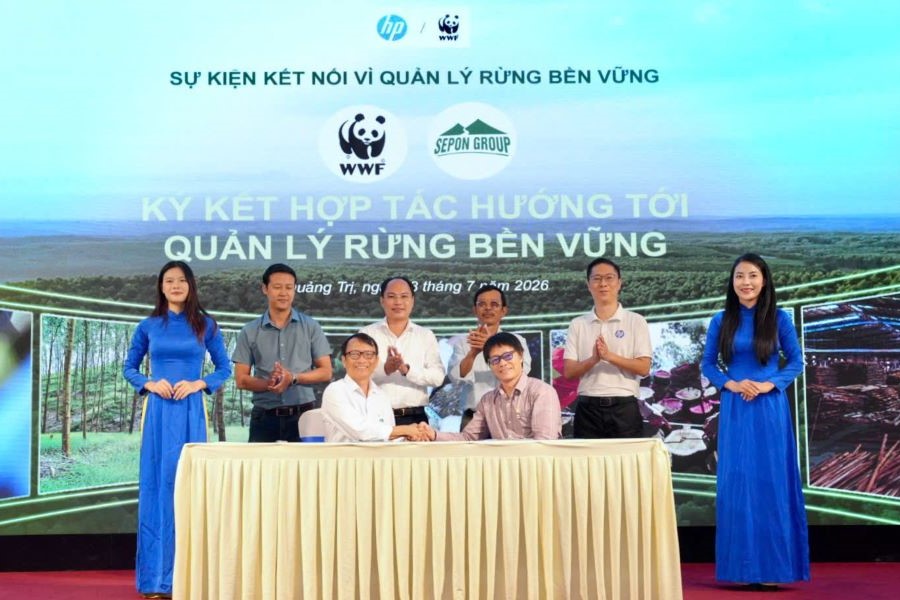 Quảng Trị: Quản lý rừng bền vững, thúc đẩy phát triển chuỗi giá trị lâm nghiệp
