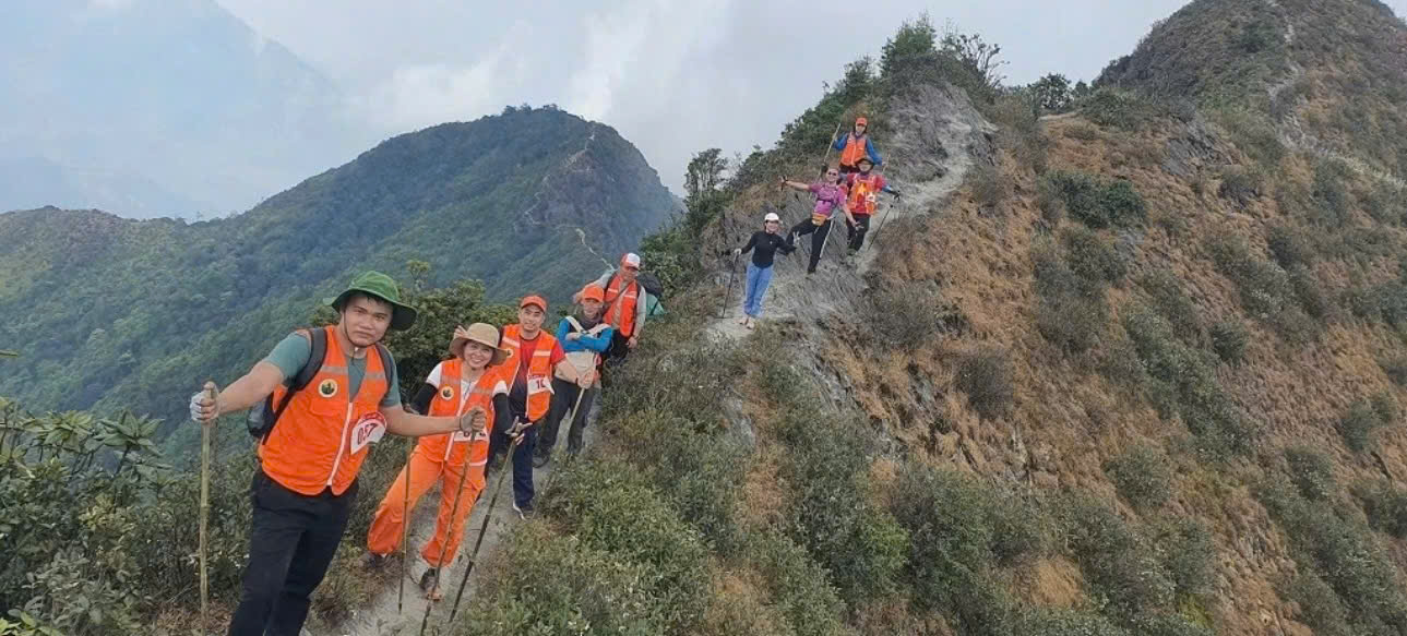 C&aacute;c vận động vi&ecirc;n tham gia 