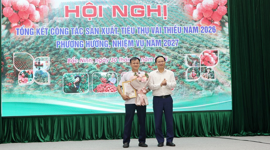Phó Chủ tịch UBND tỉnh Phạm Văn Thịnh trao giải Nhất Cuộc thi "Vườn vải đẹp, vườn vải an toàn" năm 2026 cho ông Ngô Văn Cường, thôn Quất Du 2, xã Phúc Hòa. Phó Chủ tịch UBND tỉnh Phạm Văn Thịnh trao giải Nhất Cuộc thi "Vườn vải đẹp, vườn vải an toàn" năm 2026 cho ông Ngô Văn Cường, thôn Quất Du 2, xã Phúc Hòa.