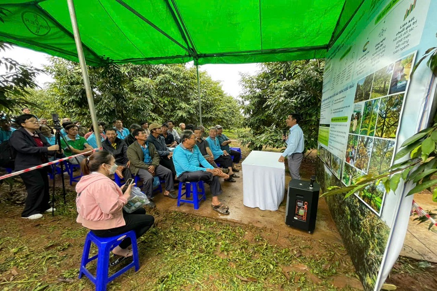 Ng&agrave;nh Khuyến n&ocirc;ng L&acirc;m Đồng tổ chức tập huấn kỹ thuật, hướng dẫn n&ocirc;ng d&acirc;n x&acirc;y dựng v&agrave; quản l&yacute; m&atilde; số v&ugrave;ng trồng sầu ri&ecirc;ng.