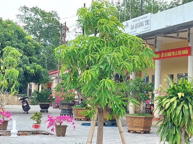 Ga Quảng Trị có thể trở thành “ga du lịch di sản” . Ga Quảng Trị có thể trở thành “ga du lịch di sản” .