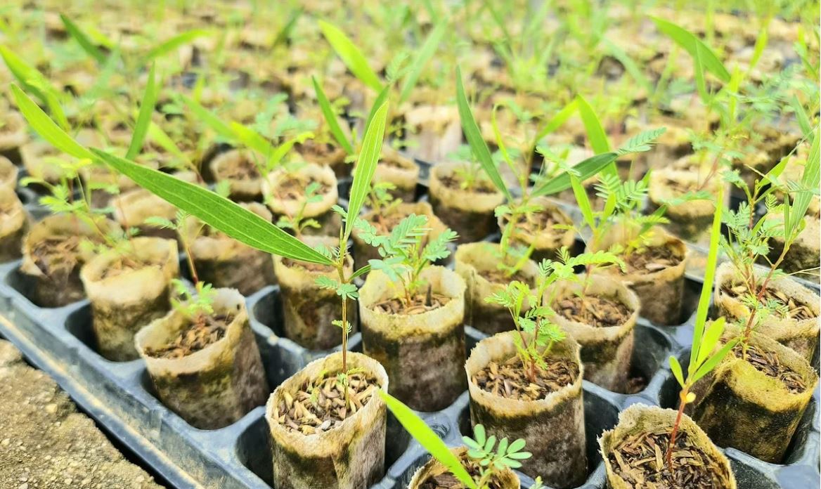 Tuyên Quang: Mục tiêu phát triển hơn 120 doanh nghiệp khởi nghiệp sáng tạo vào năm 2030