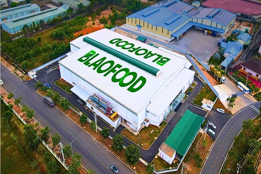 C&ocirc;ng ty Cổ phần B'Laofood l&agrave; nh&agrave; sản xuất h&agrave;ng đầu trong lĩnh vực c&ocirc;ng nghiệp chế biến n&ocirc;ng sản, rau củ quả nhiệt đới của Việt Nam. (Ảnh: P.H)