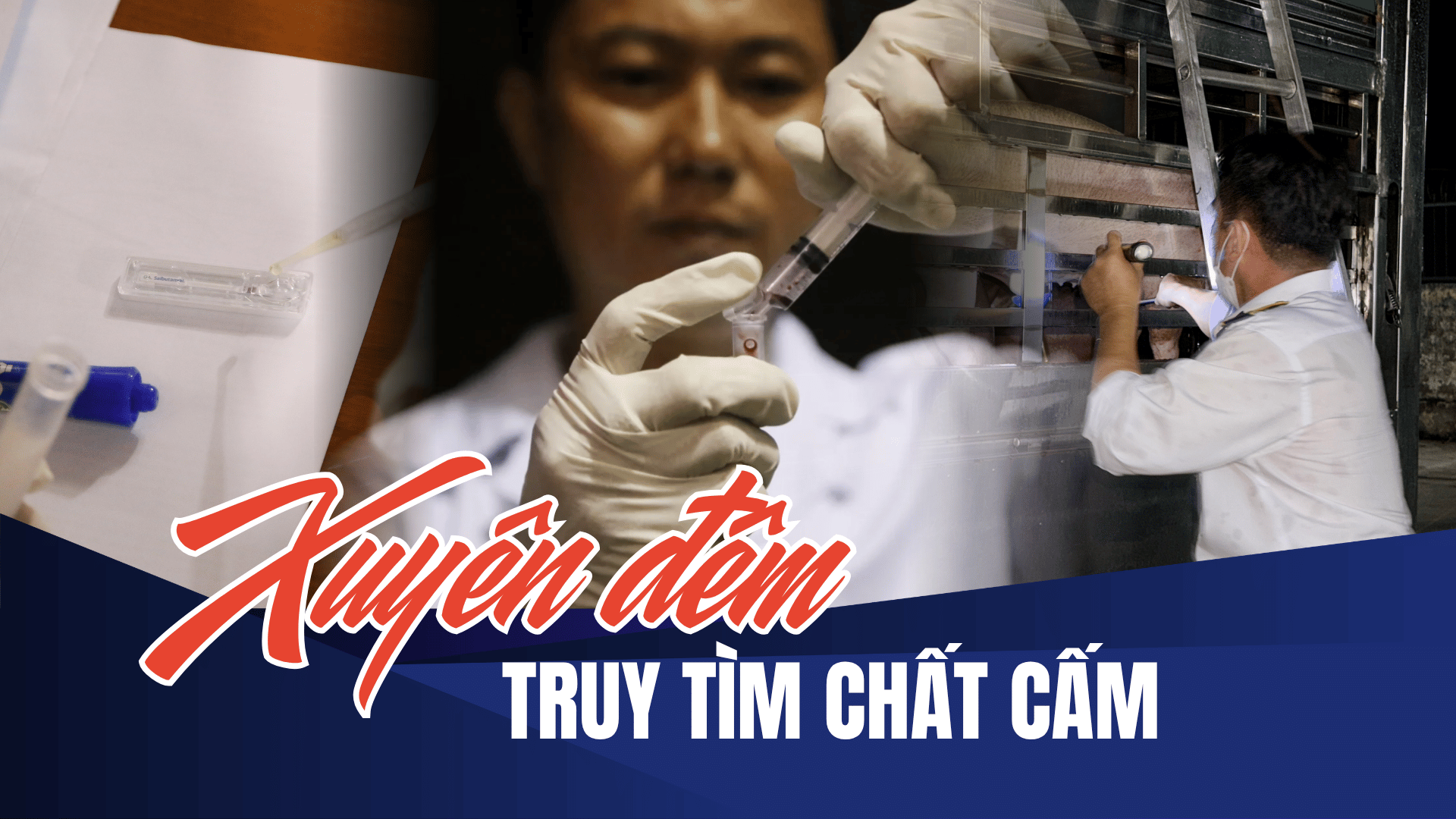 Những người giữ an toàn cho bữa ăn của 14 triệu dân TP.HCM - Kỳ 2: Trắng đêm lấy mẫu 35 tấn heo nhiễm chất cấm