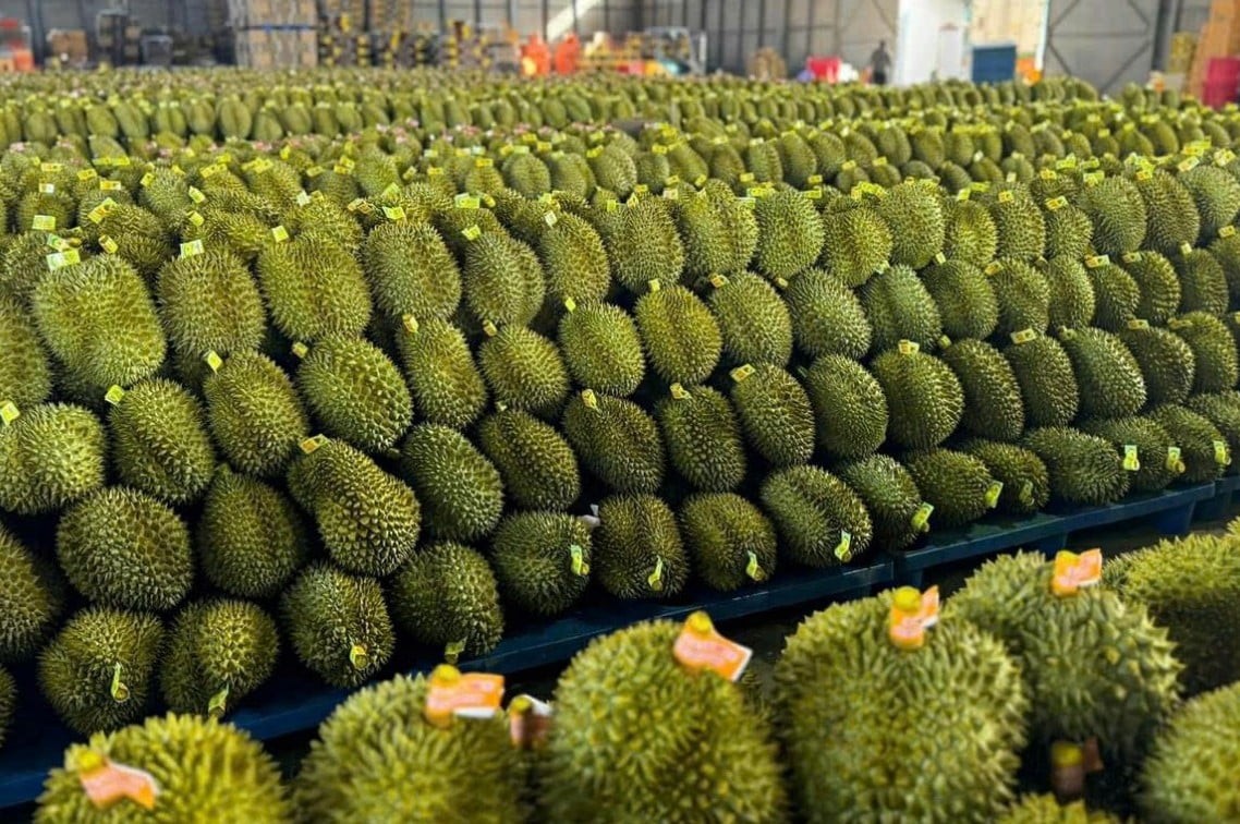 Đơn giản hóa thủ tục hành chính về mã số vùng trồng, mã số cơ sở đóng gói