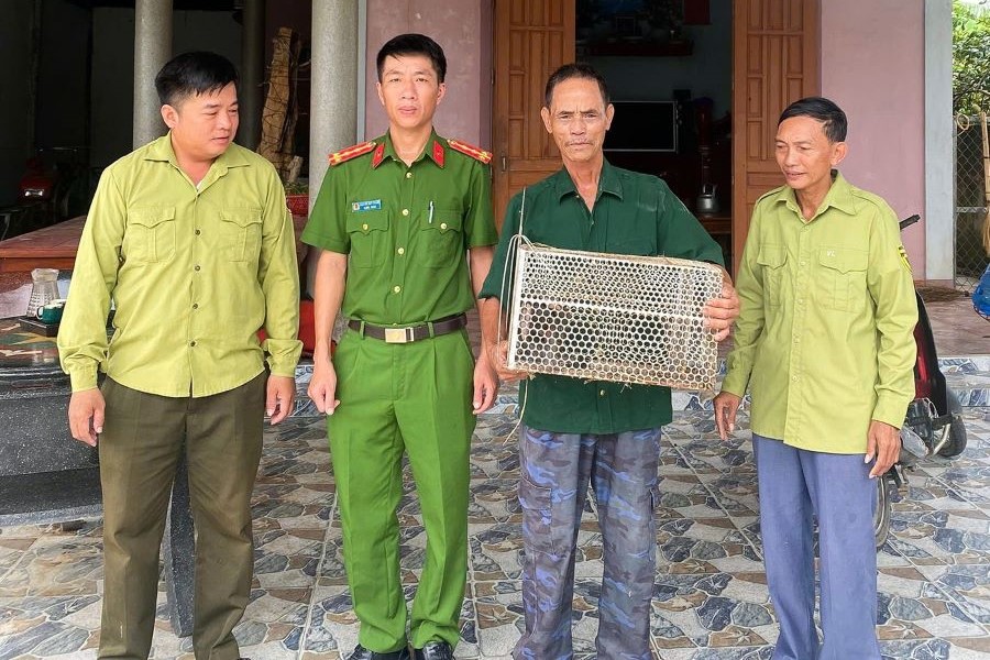 Hà Tĩnh: Tiếp nhận và tái thả 1 cá thể khỉ đuôi lợn về môi trường tự nhiên