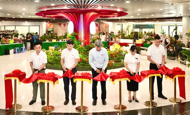 Đà Nẵng: Khai mạc Không gian trưng bày thương hiệu Sâm Ngọc Linh và Dược liệu quốc tế