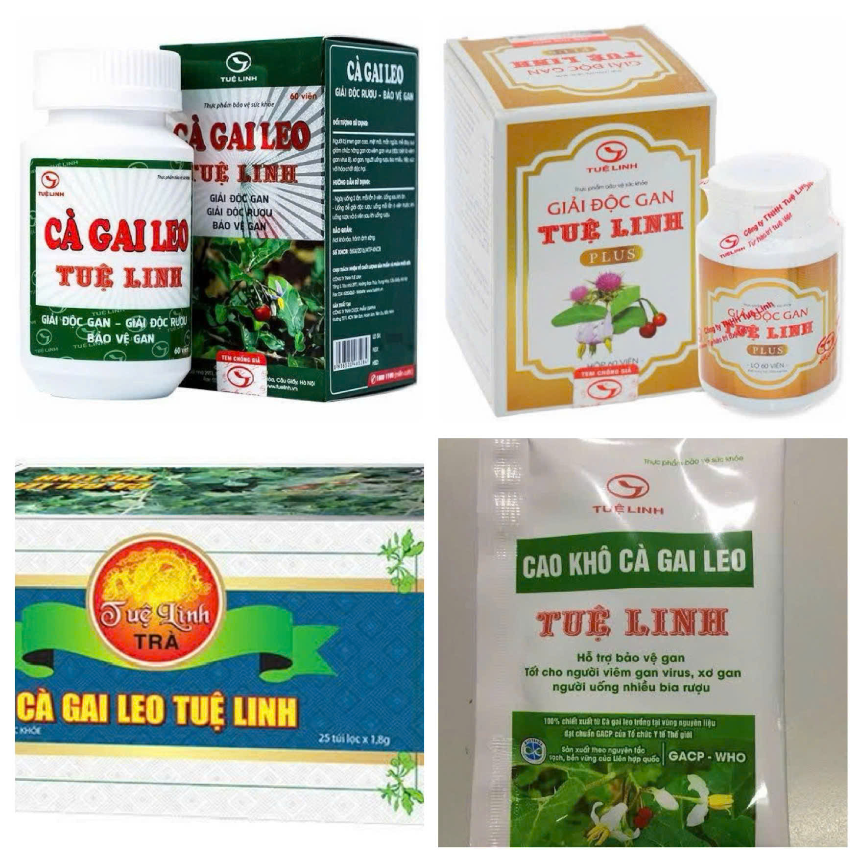 Các sản phẩm bảo vệ gan chất lượng cao từ nguồn Cà gai leo GACP-WHO của Tuệ Linh sẵn sàng phục vụ thị trường quốc tế. Các sản phẩm bảo vệ gan chất lượng cao từ nguồn Cà gai leo GACP-WHO của Tuệ Linh sẵn sàng phục vụ thị trường quốc tế.
