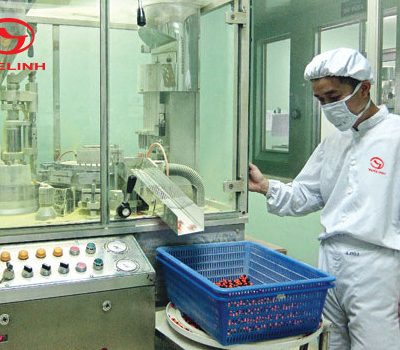 Hành trình đưa cà gai leo Việt vươn tầm thế giới của Tuệ Linh