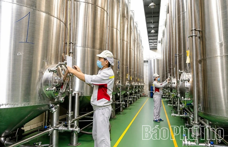 Chương trình OCOP góp phần xây dựng nền kinh tế nông thôn bền vững tại Phú Thọ