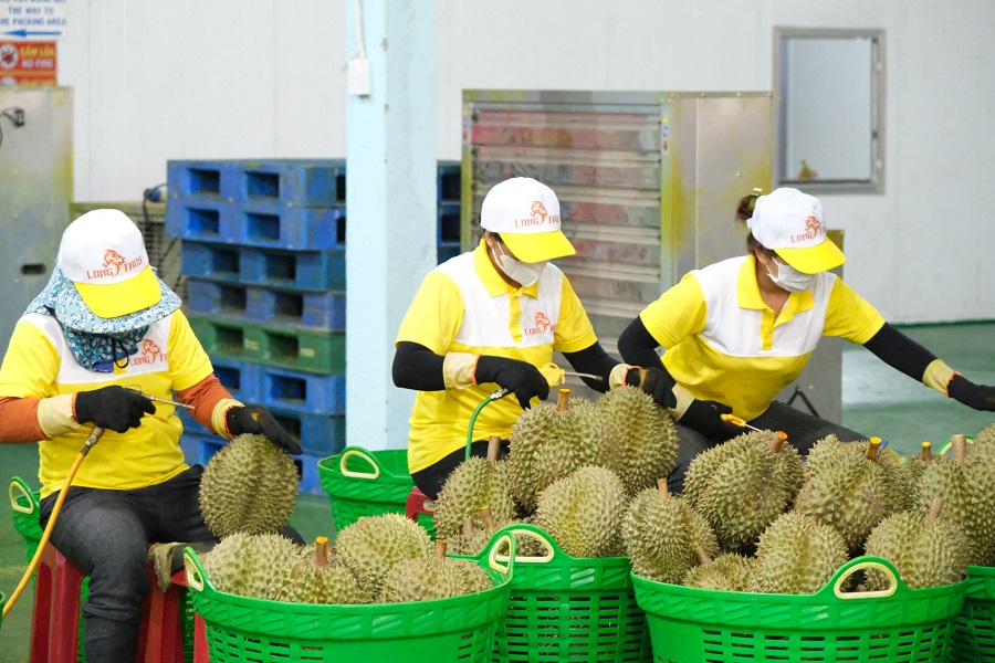 Gỡ điểm nghẽn mã số vùng trồng, tạo cú hích cho nông sản Lâm Đồng xuất khẩu