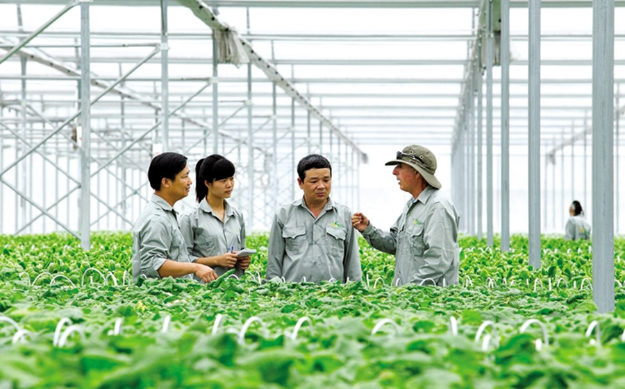 Tổ hợp tác bước vào giai đoạn chuẩn hóa: Minh bạch hơn để tiếp cận nhiều chính sách hỗ trợ