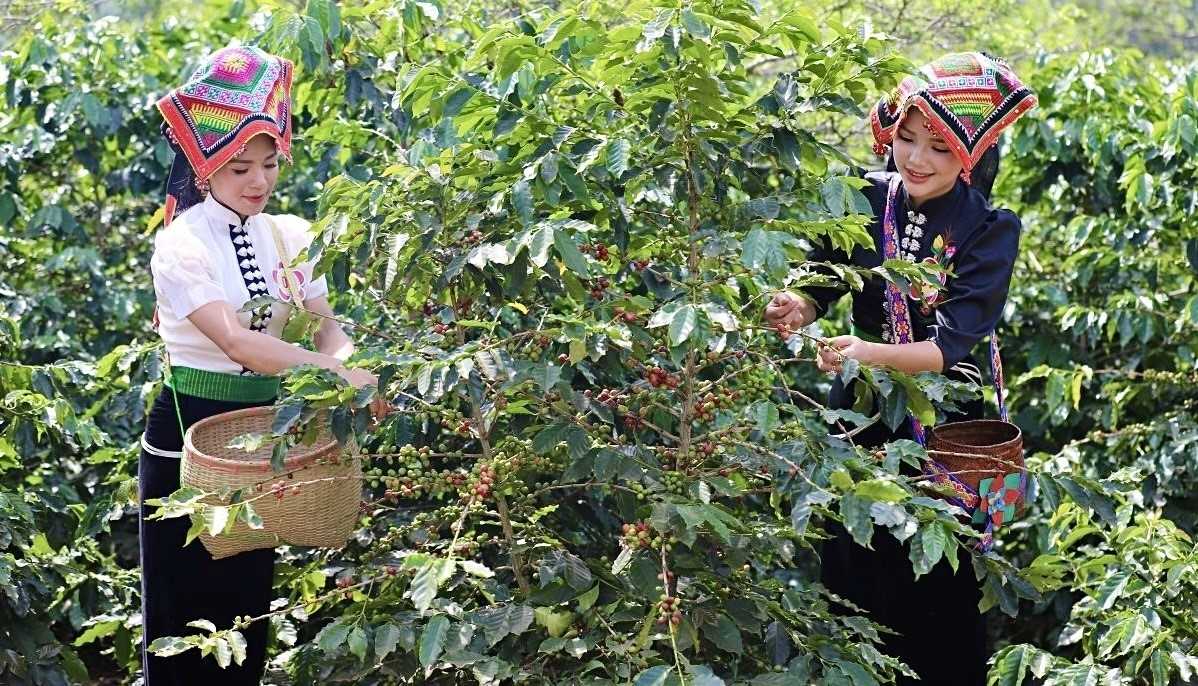Ảnh minh họa. Ảnh minh họa.