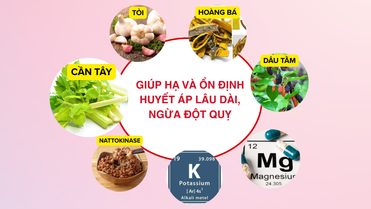 Người bệnh tăng huyết áp nên dùng thảo dược để hỗ trợ ổn định huyết áp Người bệnh tăng huyết áp nên dùng thảo dược để hỗ trợ ổn định huyết áp