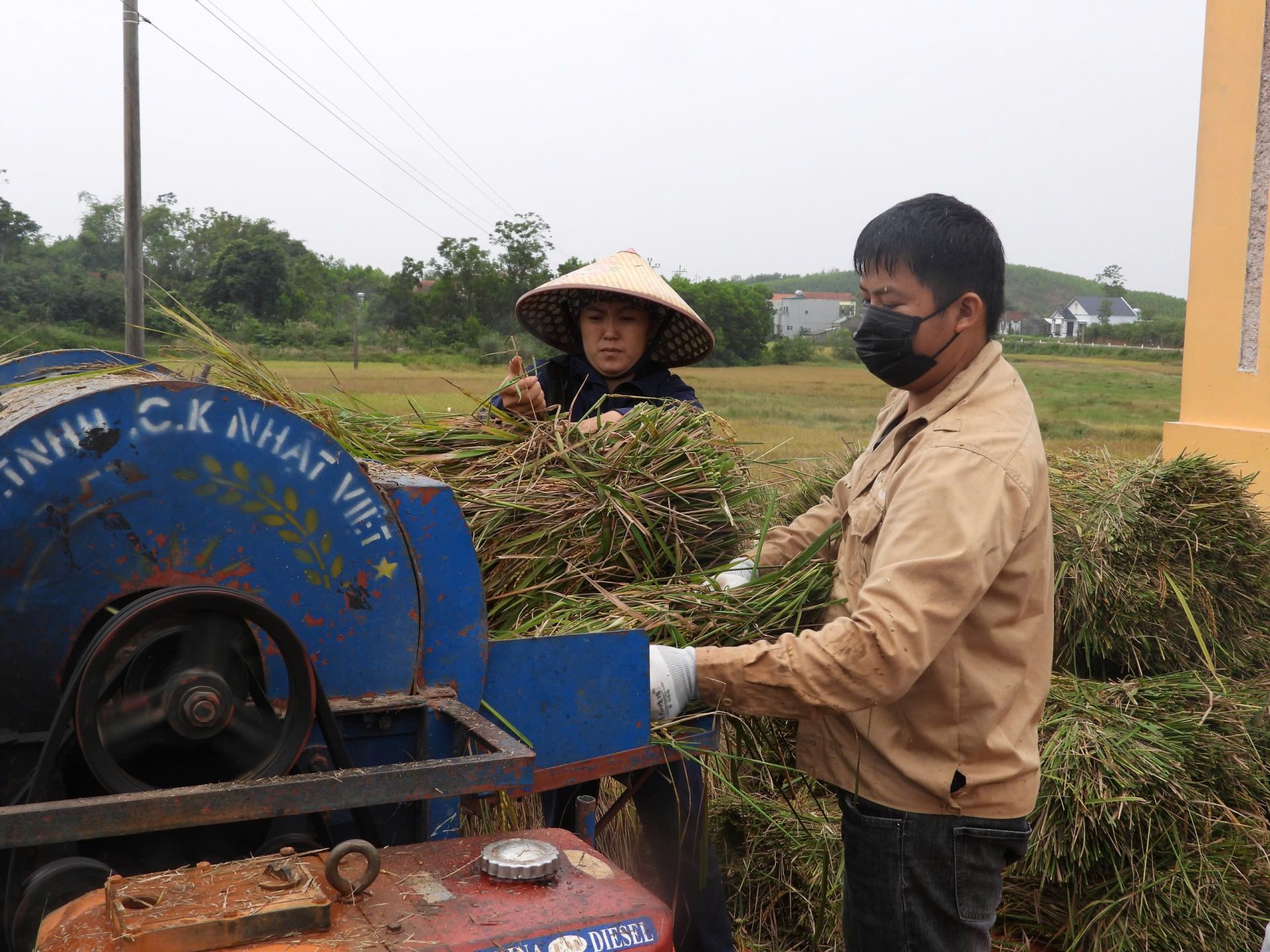 Gieo cấy l&uacute;a M&ugrave;a ở Quảng Ninh đạt 53% kế hoạch năm 2026