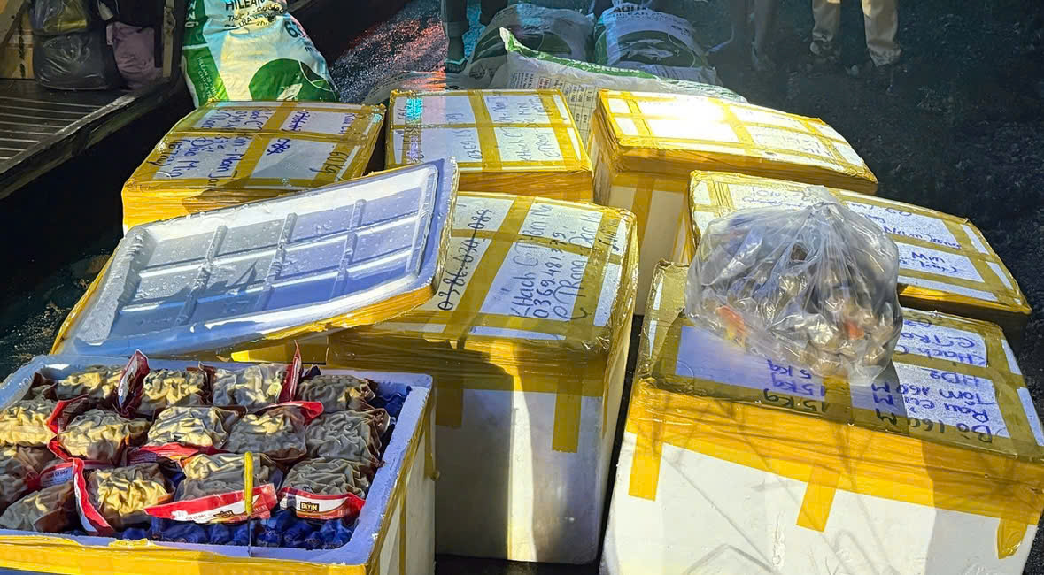 Hơn 800kg c&aacute; vi&ecirc;n, b&ograve; vi&ecirc;n v&agrave; t&ocirc;m vi&ecirc;n bị tạm giữ để x&aacute;c minh nguồn gốc. (Ảnh: A.B)