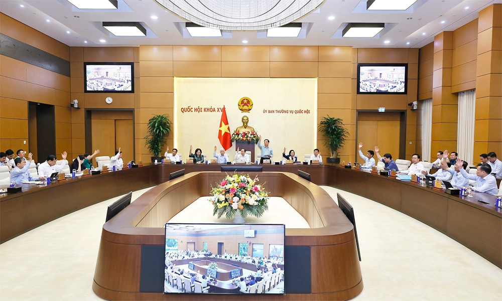 Các thành viên biểu quyết tại hội nghị. Ảnh: TTXVN Các thành viên biểu quyết tại hội nghị. Ảnh: TTXVN