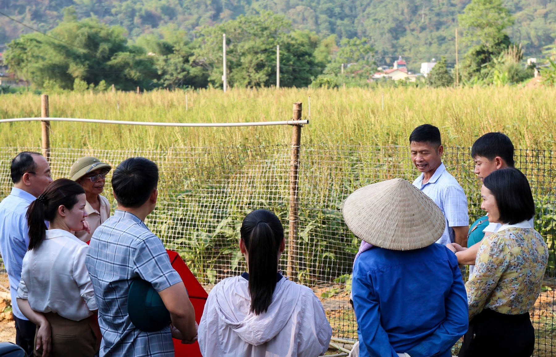 Lĩnh vực n&ocirc;ng nghiệp tiếp tục giữ vai tr&ograve; trụ đỡ của nền kinh tế địa phương