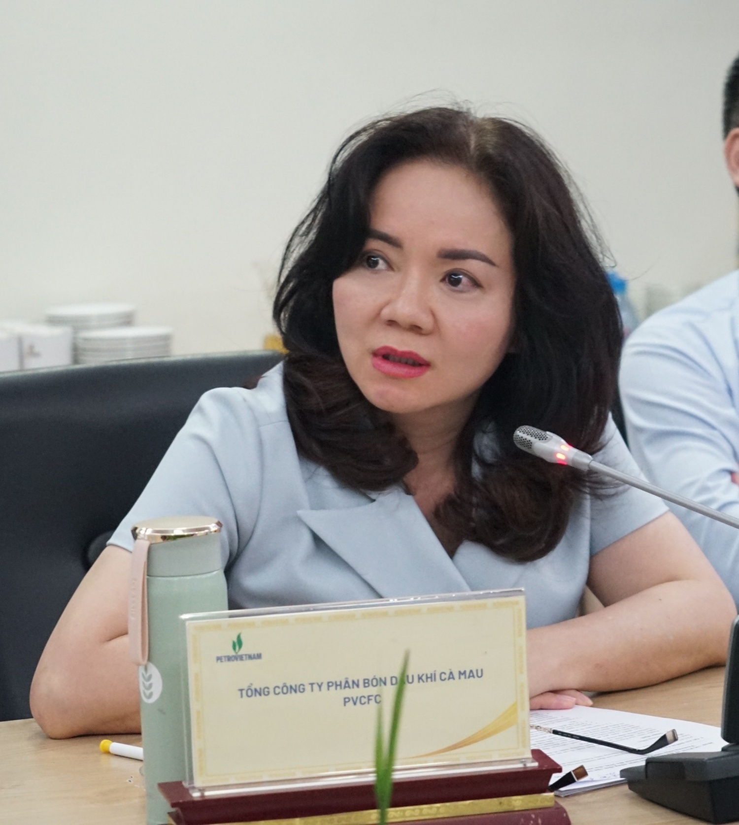 Bà Nguyễn Thị Hiền, Phó Tổng Giám đốc Tổng công ty Phân bón Dầu khí Cà Mau Bà Nguyễn Thị Hiền, Phó Tổng Giám đốc Tổng công ty Phân bón Dầu khí Cà Mau