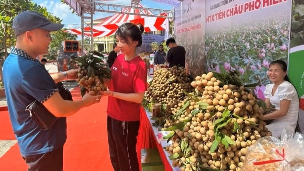 Các gian hàng nhãn tại hội nghị xúc tiến thương mại tiêu thụ nhãn tại xã Tân Hưng, tỉnh Hưng Yên. (Ảnh: PHẠM HÀ) Các gian hàng nhãn tại hội nghị xúc tiến thương mại tiêu thụ nhãn tại xã Tân Hưng, tỉnh Hưng Yên. (Ảnh: PHẠM HÀ)
