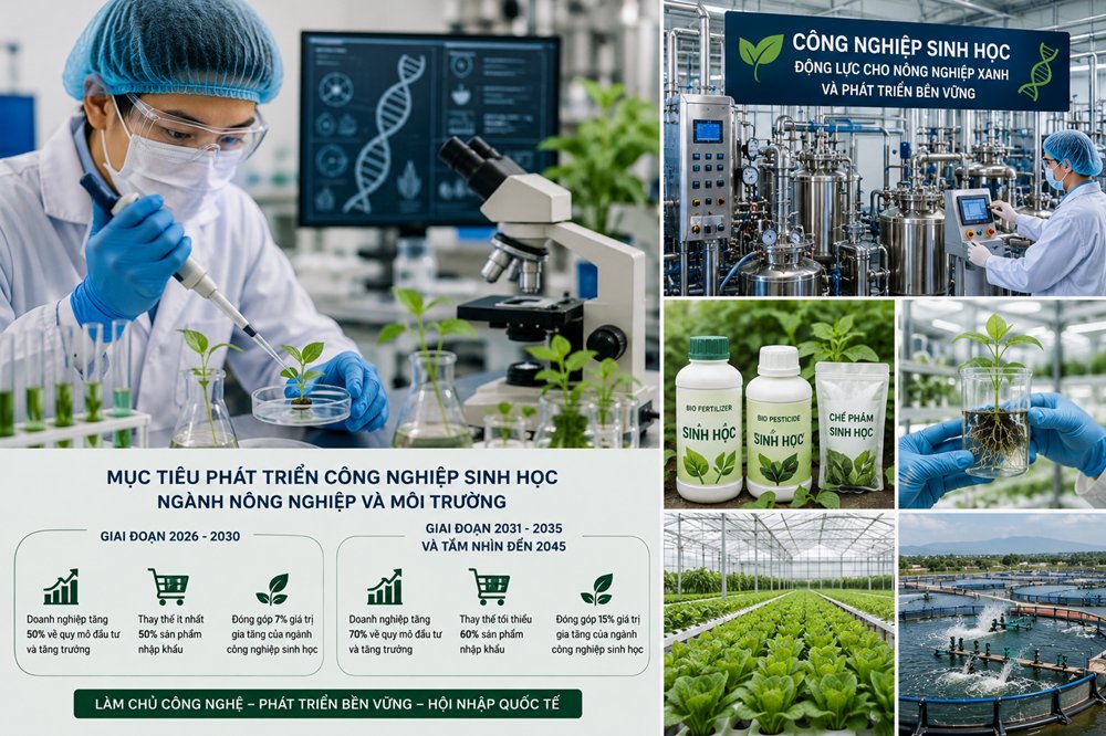 Việt Nam đặt mục tiêu phát triển công nghiệp sinh học thành ngành kinh tế - kỹ thuật quan trọng, từng bước làm chủ công nghệ lõi và giảm phụ thuộc vào các sản phẩm nhập khẩu. Ảnh AI Việt Nam đặt mục tiêu phát triển công nghiệp sinh học thành ngành kinh tế - kỹ thuật quan trọng, từng bước làm chủ công nghệ lõi và giảm phụ thuộc vào các sản phẩm nhập khẩu. Ảnh AI