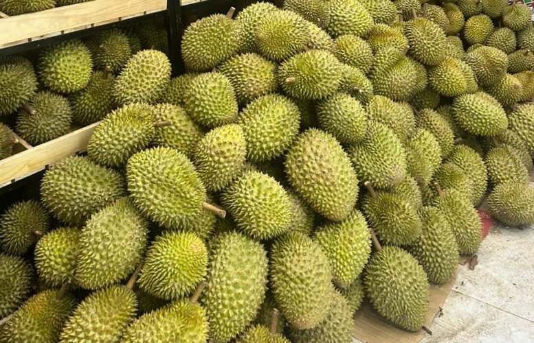 Gi&aacute; sầu ri&ecirc;ng h&ocirc;m nay 7/8: Thị trường ổn định