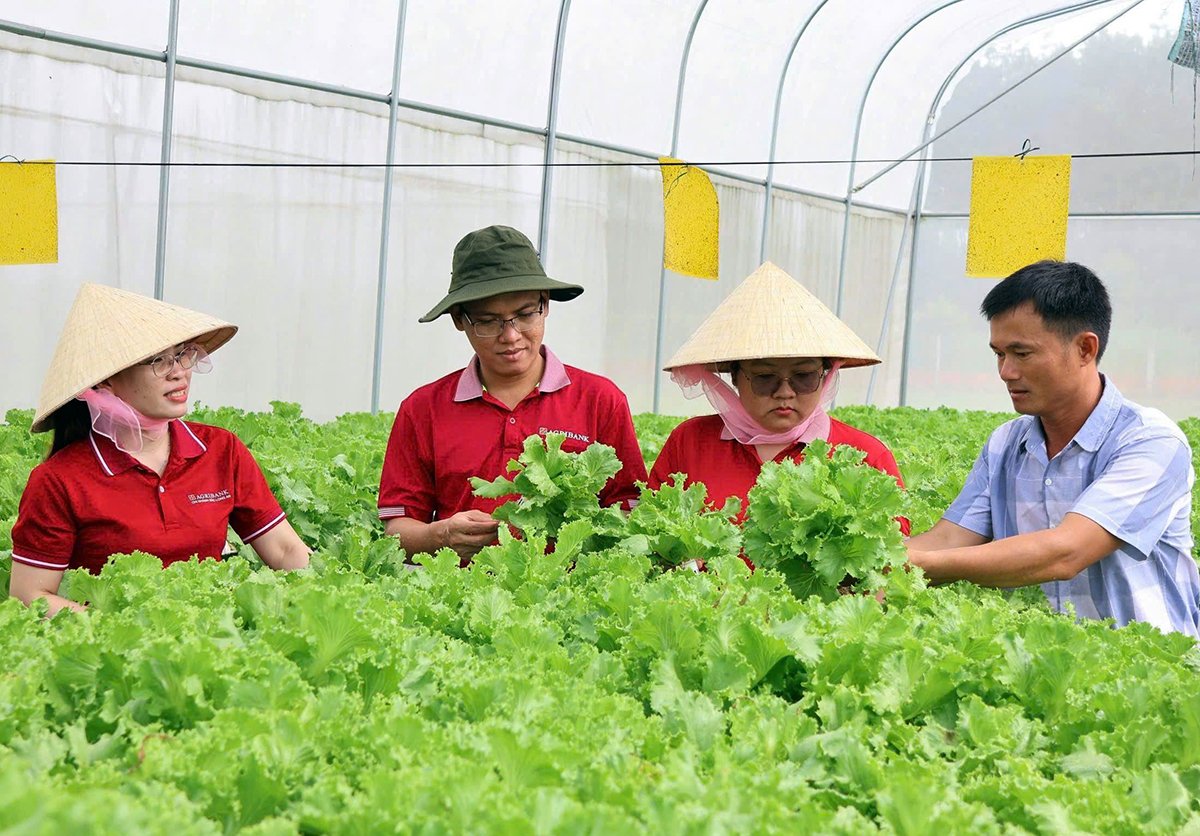 Cán bộ Agribạnk Chi nhánh Bắc Long An tham quan mô hình nông nghiệp công nghệ cao Cán bộ Agribạnk Chi nhánh Bắc Long An tham quan mô hình nông nghiệp công nghệ cao