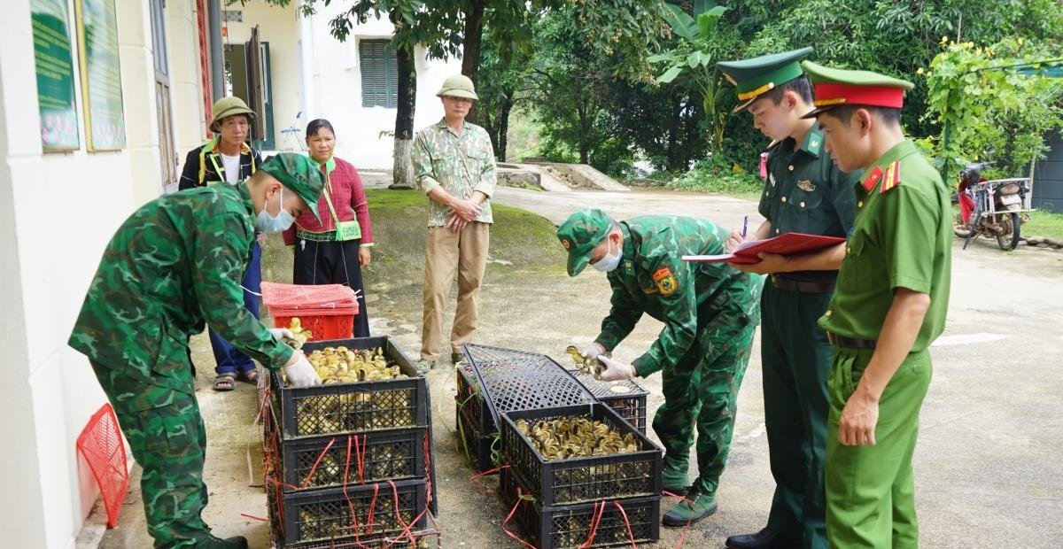 Lực lượng chức năng tỉnh Lạng Sơn liên tiếp phát hiện các vụ vận chuyển Lực lượng chức năng tỉnh Lạng Sơn liên tiếp phát hiện các vụ vận chuyển