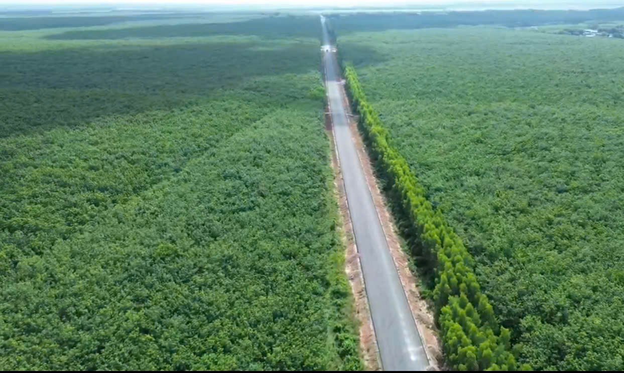 Giá cao su hôm nay 9/8: Kết thúc tuần giao dịch tăng mạnh cuối tuần Giá cao su hôm nay 9/8: Kết thúc tuần giao dịch tăng mạnh cuối tuần