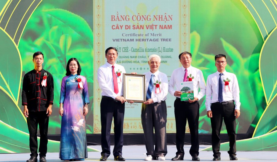 L&atilde;nh đạo x&atilde; Đường Hoa nhận bằng c&ocirc;ng nhận C&acirc;y ch&egrave; di sản Việt Nam đối với 2 c&acirc;y ch&egrave; cổ tr&ecirc;n d&atilde;y Quảng Nam Ch&acirc;u, thuộc địa phận rừng ph&ograve;ng hộ Tr&uacute;c B&agrave;i Sơn, x&atilde; Đường Hoa