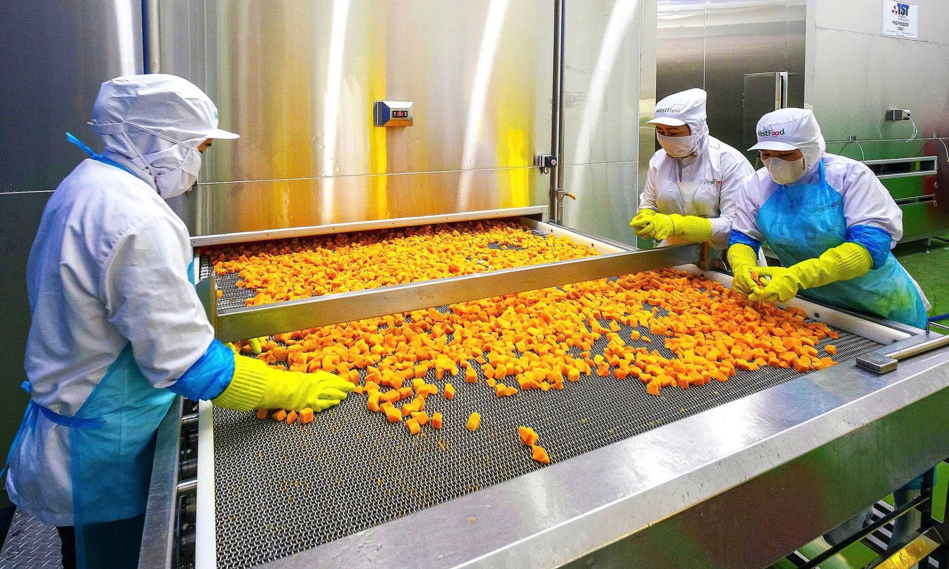 Không chỉ gia tăng giá trị nông sản, chế biến sâu còn giúp doanh nghiệp chủ động hơn trước yêu cầu về chất lượng, truy xuất nguồn gốc, thời gian bảo quản và chi phí logistics. (Ảnh minh hoạ: Internet) Không chỉ gia tăng giá trị nông sản, chế biến sâu còn giúp doanh nghiệp chủ động hơn trước yêu cầu về chất lượng, truy xuất nguồn gốc, thời gian bảo quản và chi phí logistics. (Ảnh minh hoạ: Internet)