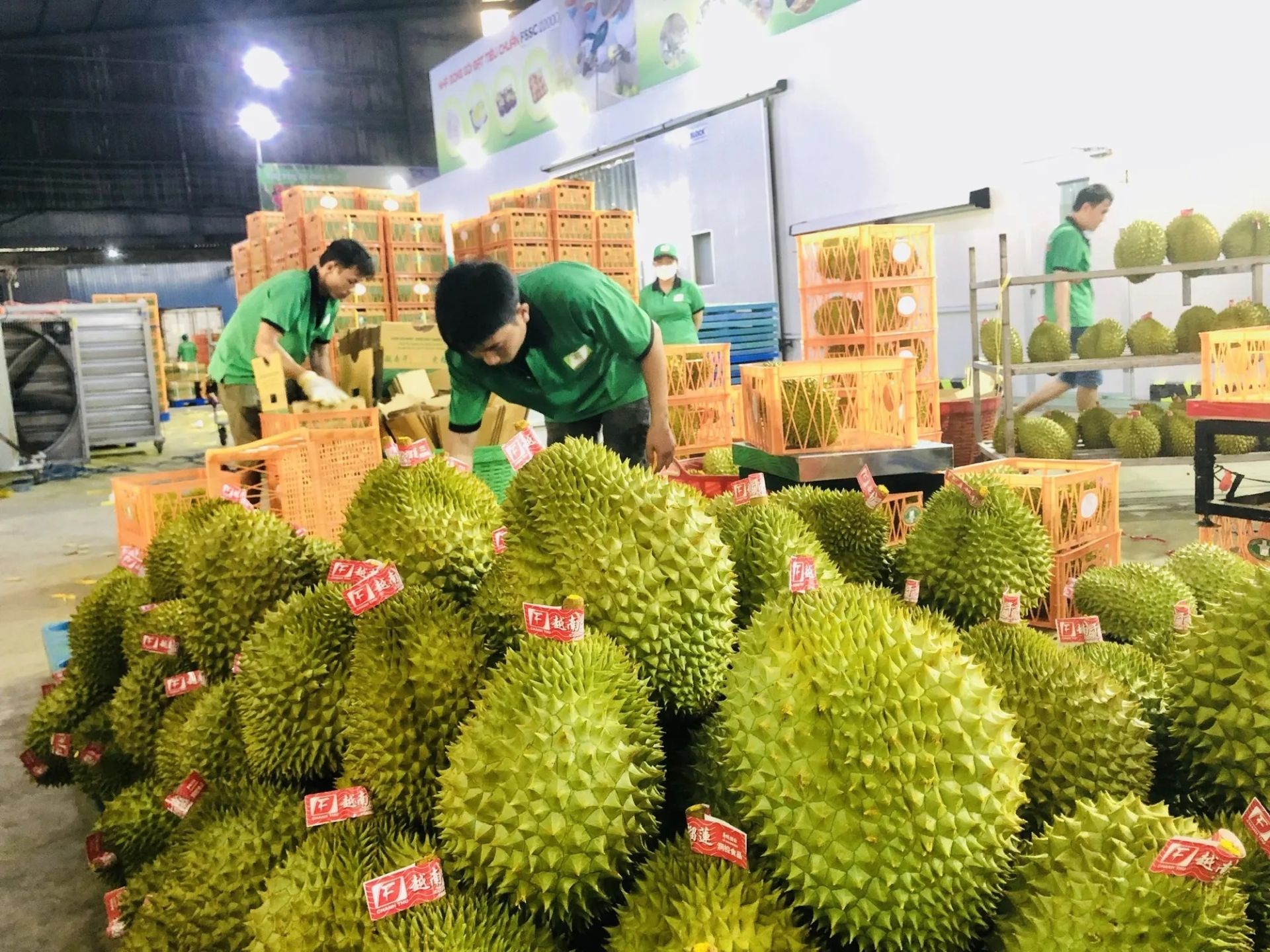 Kim ngạch xuất khẩu rau quả tháng 7 đã chính thức vượt ngưỡng 1 tỷ USD/tháng, đạt mức 1,12 tỷ USD, đây là con số cao nhất từ trước đến nay. (Ảnh minh hoạ: Internet) Kim ngạch xuất khẩu rau quả tháng 7 đã chính thức vượt ngưỡng 1 tỷ USD/tháng, đạt mức 1,12 tỷ USD, đây là con số cao nhất từ trước đến nay. (Ảnh minh hoạ: Internet)